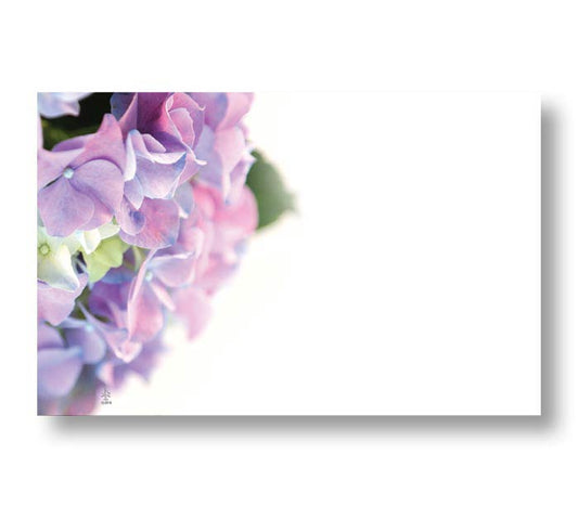 Blank purple and pink Hydrangea Enclosure Card