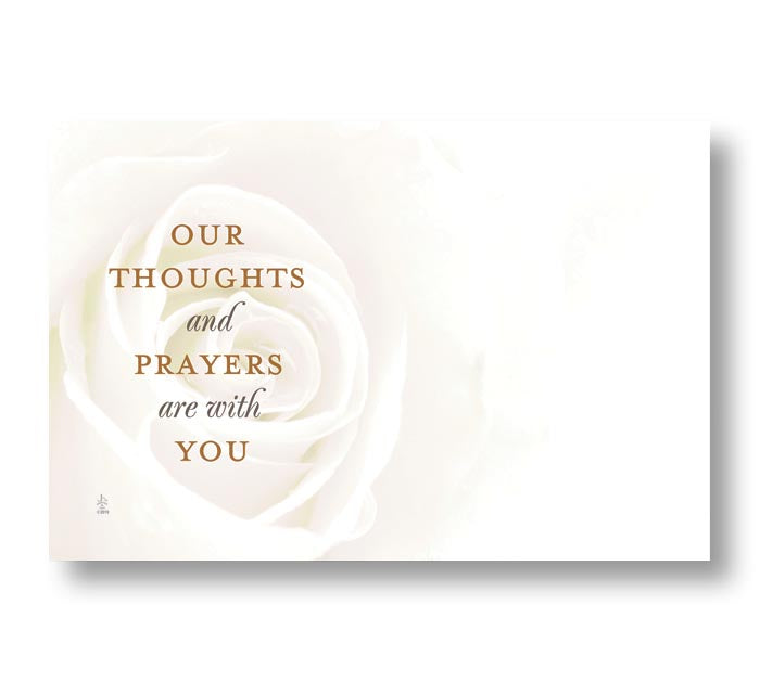 Blank our Thoughts Prayers are with you White Rose Enclosure Card