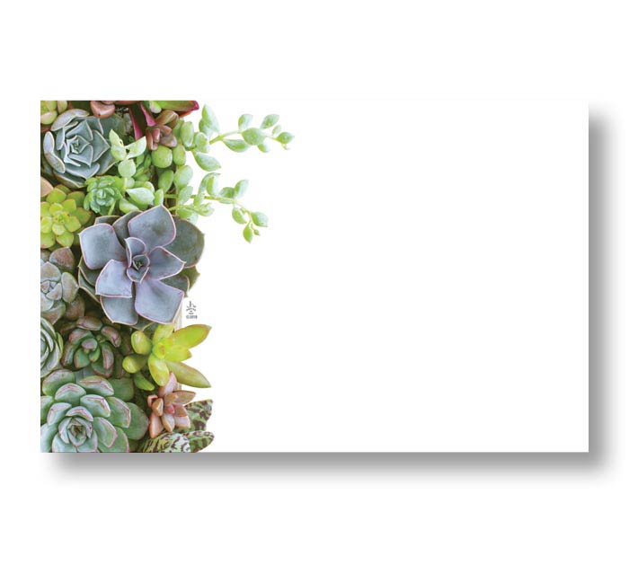 Blank succulents Enclosure Card